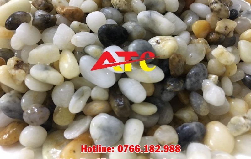 Soi ba mau rai be ca Sỏi ba màu rải bể cá