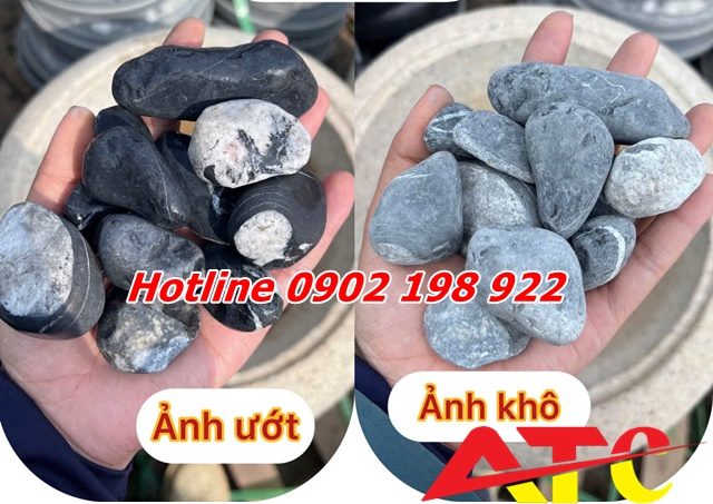 soi-canh-quan-tu-nhien-soi-quay-soi-nhap-khau-da-dang-mau-sac-va-kich-co (4)