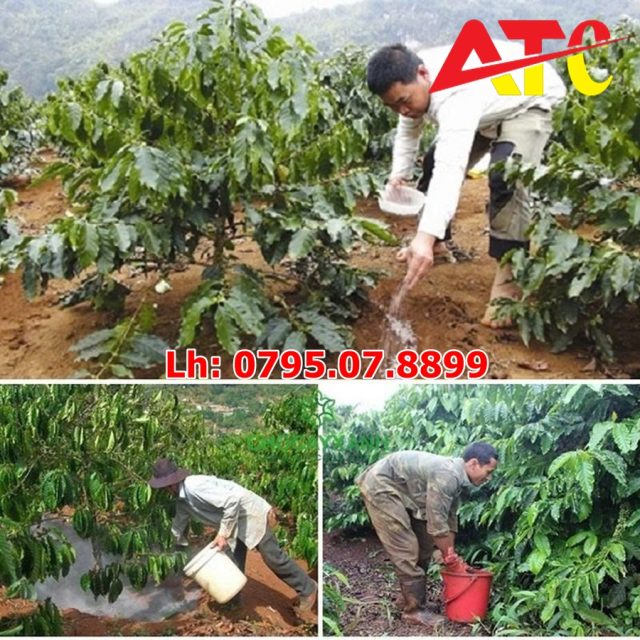 voi-trong-nong-nghiep