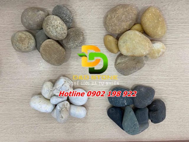 Soi-trang-tri-phong -thuy