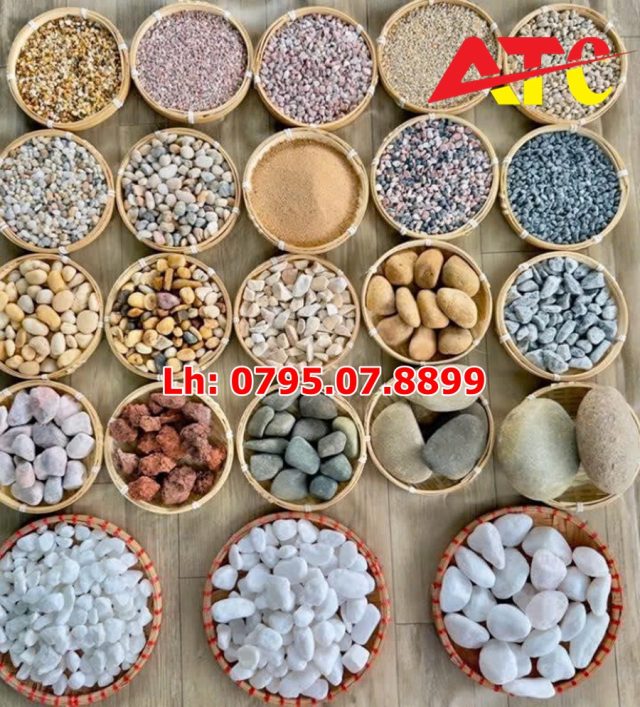 cac-loa-soi-trang-tri