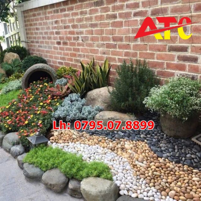 soi-trang-trí-tieu-canh