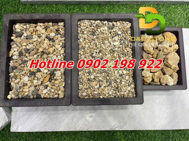 soi-canh-quan-tu-nhien-soi-quay-soi-nhap-khau-da-dang-mau-sac-va-kich-co (2)