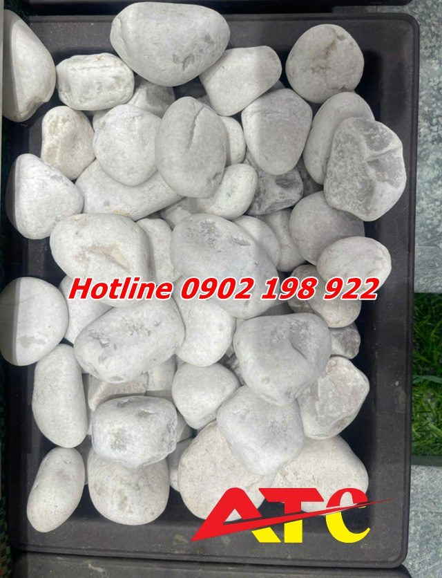 soi-canh-quan-tu-nhien-soi-quay-soi-nhap-khau-da-dang-mau-sac-va-kich-co (5)