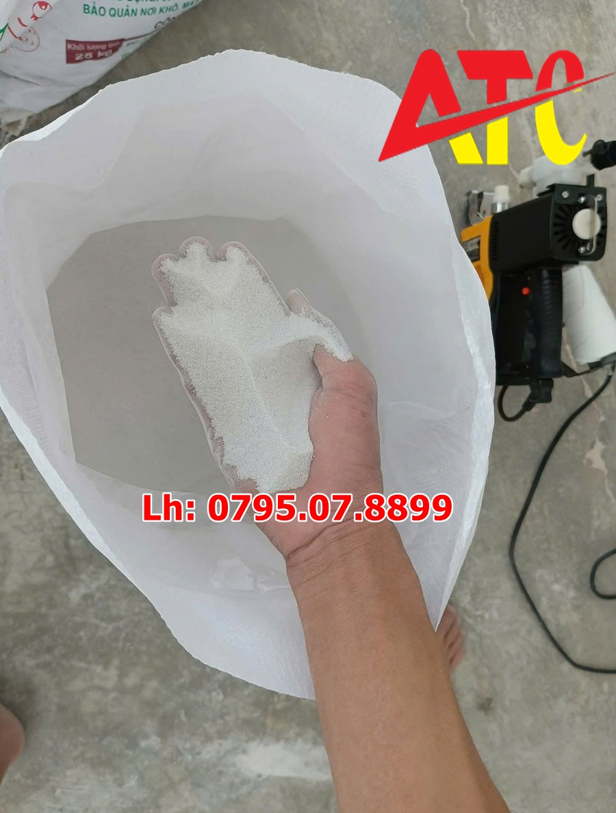 cat-trang-dai-san-vuon