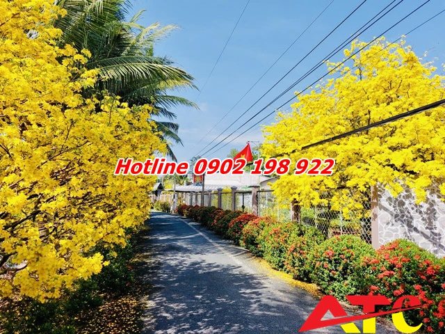 dolomite-bon-cho-cay-canh