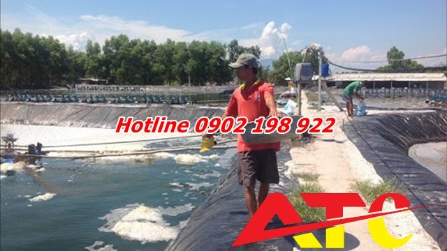 dolomite-giai-phap-cai-thien-do-ngot-nuoc-ao-nuoi-thuy-san-ben-vung