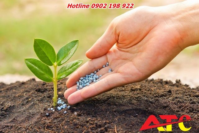 bot-da-lam-chat-don-cho-phan-bon