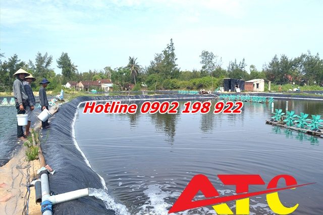 dolomite-giai-phap-cai-thien-do-ngot-nuoc-ao-nuoi-thuy-san-ben-vung