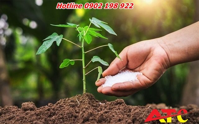 bot-da-lam-chat-don-cho-phan-bon