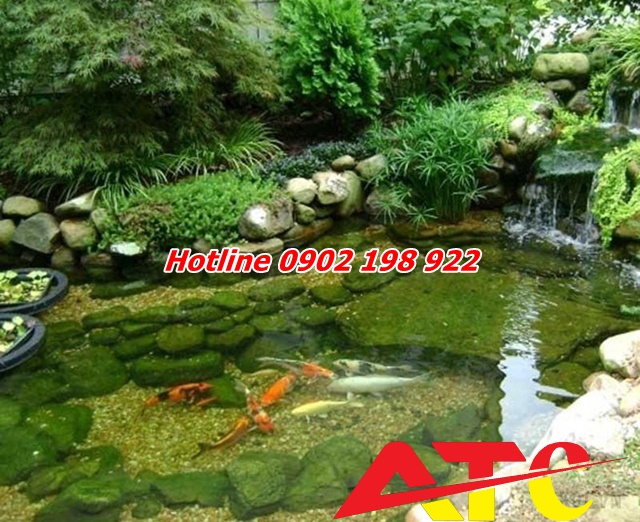 da-cuoi-trang-tri-be-ca-va-ho-ca-koi-ve-dep-tu-tu-nhien