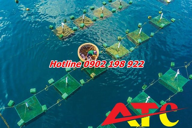 dolomite-giai-phap-cai-thien-do-ngot-nuoc-ao-nuoi-thuy-san-ben-vung