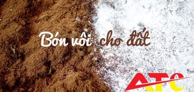 bon-voi-cai-tao-dat-dinh-ki