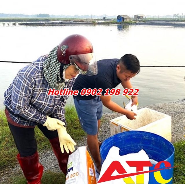 nuoi-cua-hieu-qua-voi-voi-dolomite-bot-da