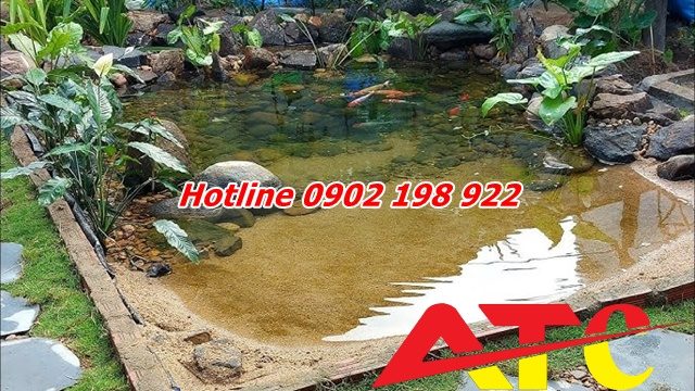 dung-soi-cho-ho-ca-coi-dung-cach