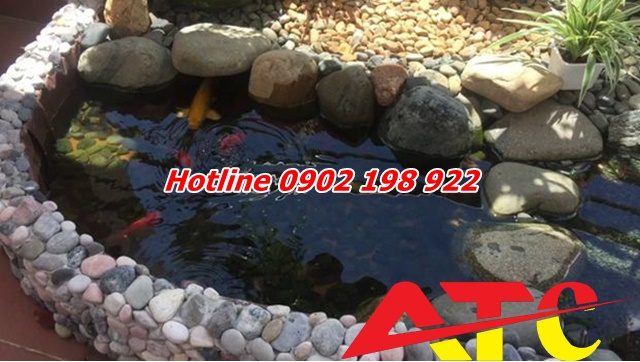 da-cuoi-trang-tri-be-ca-va-ho-ca-koi-ve-dep-tu-tu-nhien