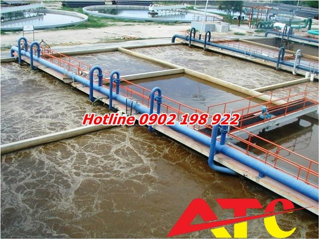 kham-pha-suc-manh-cua-voi-trong-xu-ly-moi-truong