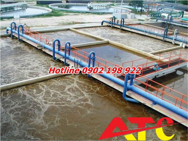 kham-pha-suc-manh-cua-voi-trong-xu-ly-moi-truong