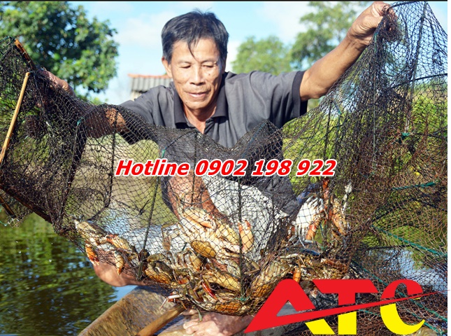 nuoi-cua-hieu-qua-voi-voi-dolomite-bot-da