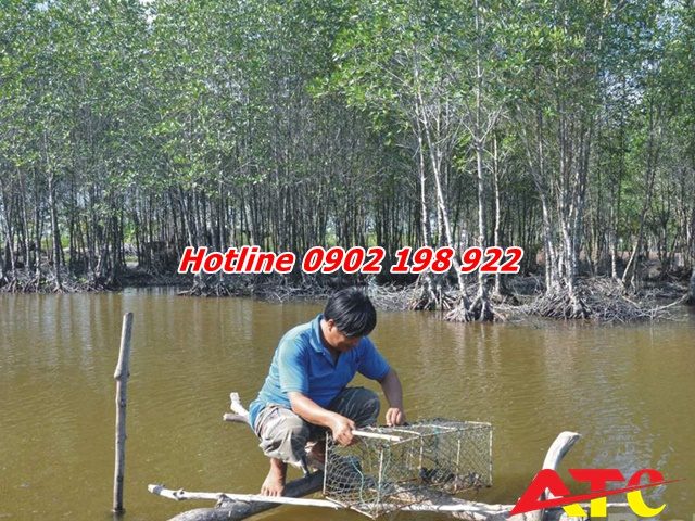 nuoi-cua-trong-rung-ngap-man_1638247212