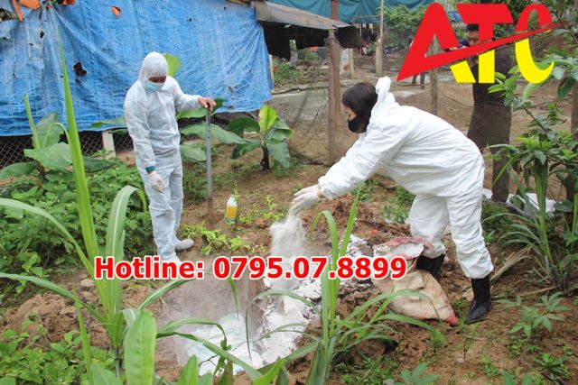 voi-bot-xu-ly-trong-chan-nuoi