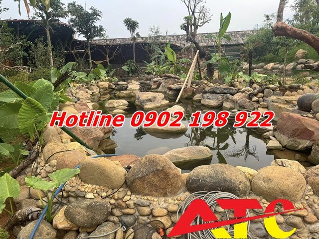 da-cuoi-trang-tri-be-ca-va-ho-ca-koi-ve-dep-tu-tu-nhien