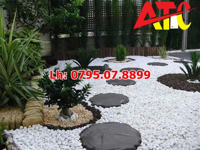 soi-ket-hop-da-buoc-dao