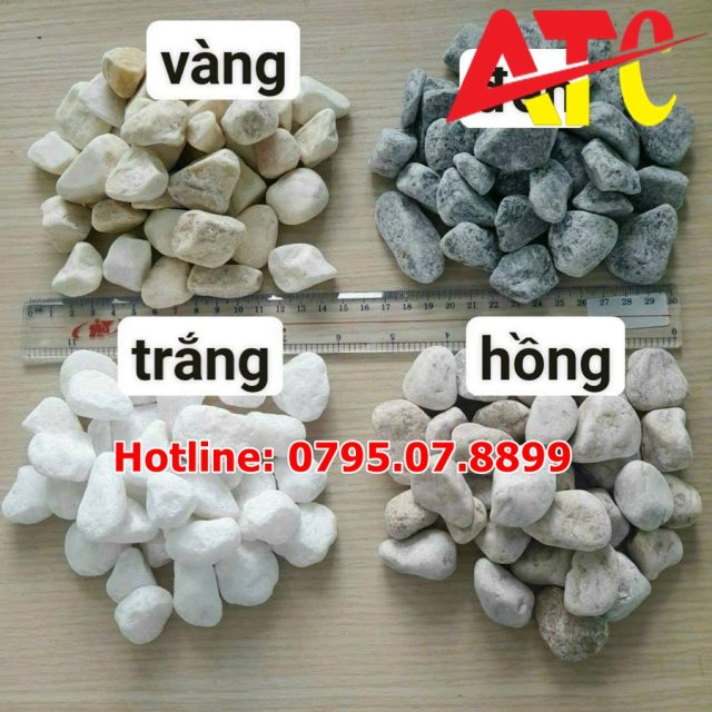 size-lon-nho-cua-soi-trang-tri