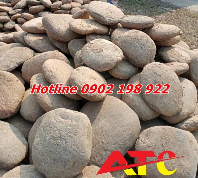 da-cuoi-trang-tri-be-ca-va-ho-ca-koi-ve-dep-tu-tu-nhien