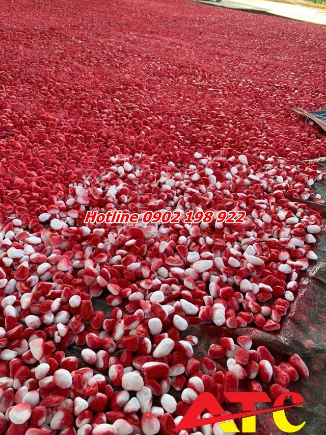 soi-nhuom-mau-trang-tri-le-tet-dam-cuoi-trien-lam-hoi-cho