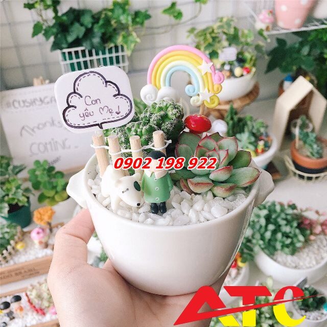 lot-soi-trong-chau-cay