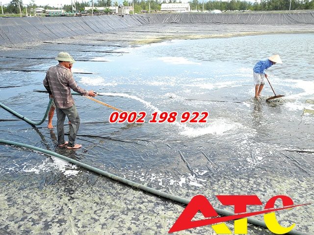 xu-ly-ao-nuoi-thuy-san-bang-voi-bot-dung-chuan-theo-quy-trinh