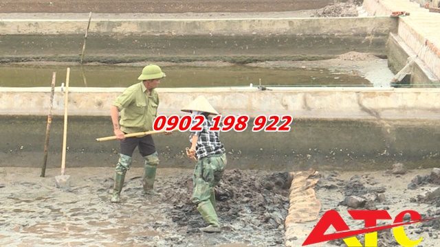 xu-ly-ao-nuoi-thuy-san-bang-voi-bot-dung-chuan-theo-quy-trinh