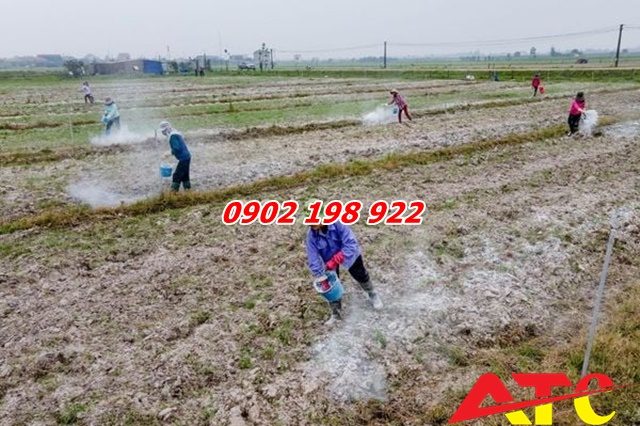 tai-sinh-dat-bac-mau-bang-khoang-san-tu-nhien