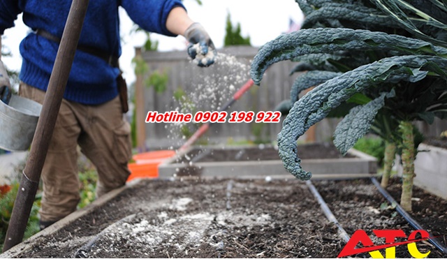 huong-dan-bon-voi-bot-nong-nghiep-theo-tung-loai-dat