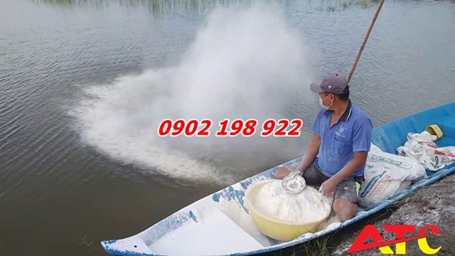 xu-ly-ao-nuoi-thuy-san-bang-voi-bot-dung-chuan-theo-quy-trinh
