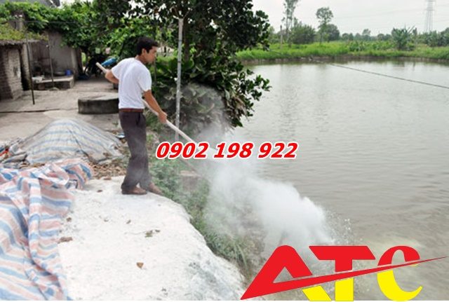xu-ly-ao-nuoi-thuy-san-bang-voi-bot-dung-chuan-theo-quy-trinh