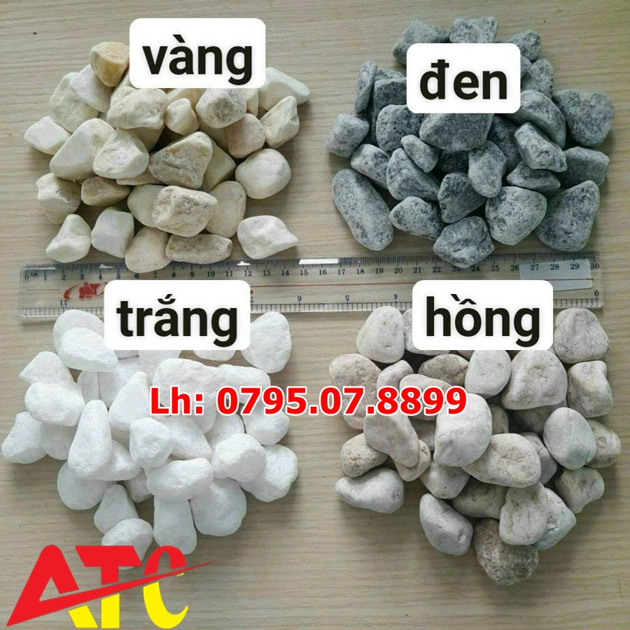 cac-loai-soi-quay-trang-tri-san-vuon