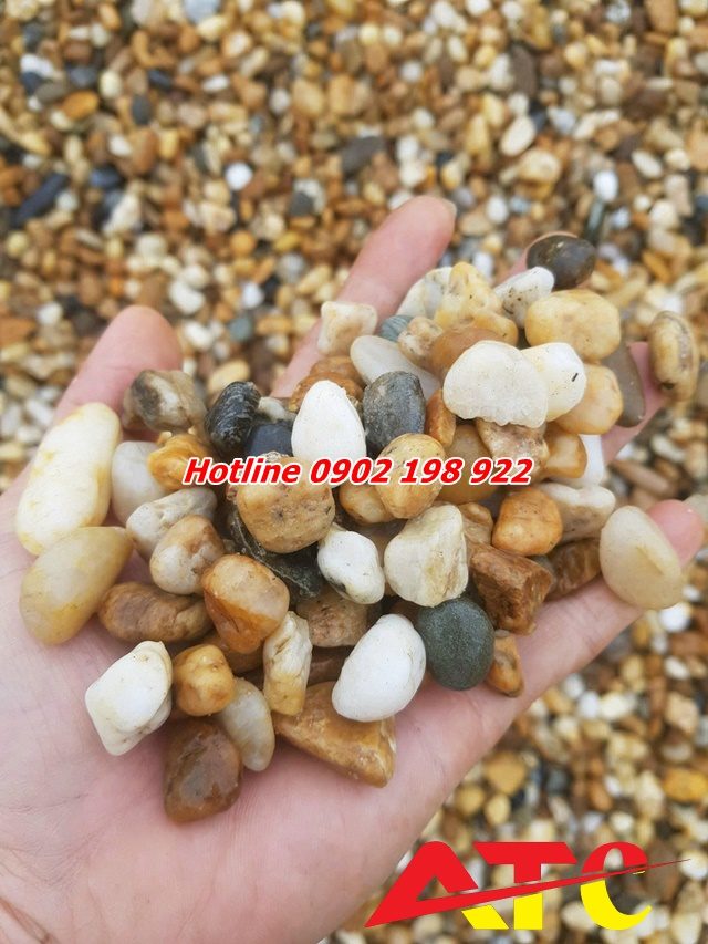 soi-song-lua-chon-tu-nhien-hoan-hao-de-rai-loi-di-san-vuon