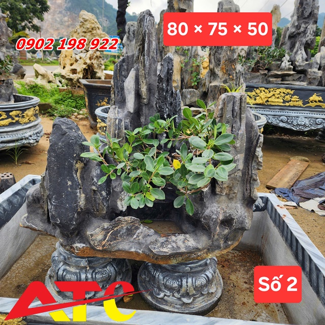 da-lua-tu-nhien-va-su-thang-hoa-trong-tieu-canh-bonsai