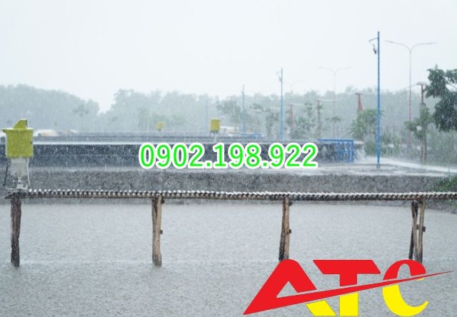 tat-voi-sau-mua-giai-dap-tu-chuyen-gia