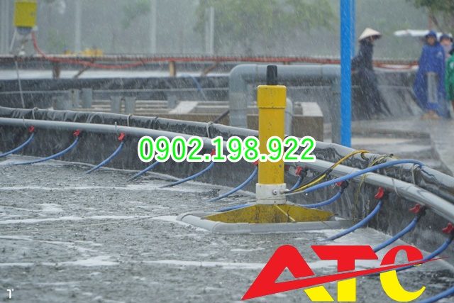 tat-voi-sau-mua-giai-dap-tu-chuyen-gia