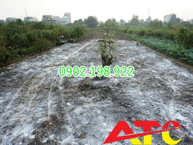 rai-voi-khi-cai-tao-vuon-bao-nhieu-la-du-de-dat-tot-cay-khoe