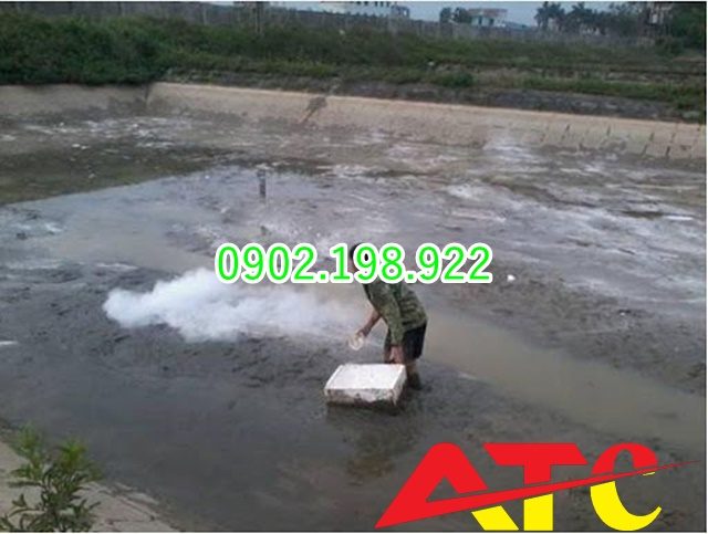 tat-voi-sau-mua-giai-dap-tu-chuyen-gia