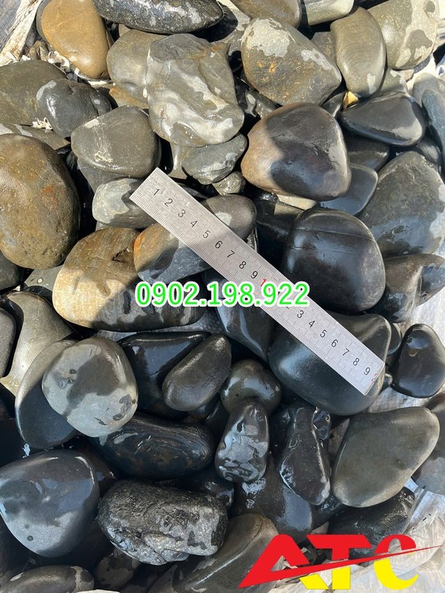 trang-tri-ho-ca-koi-dung-da-gi-de-len-mau-dep