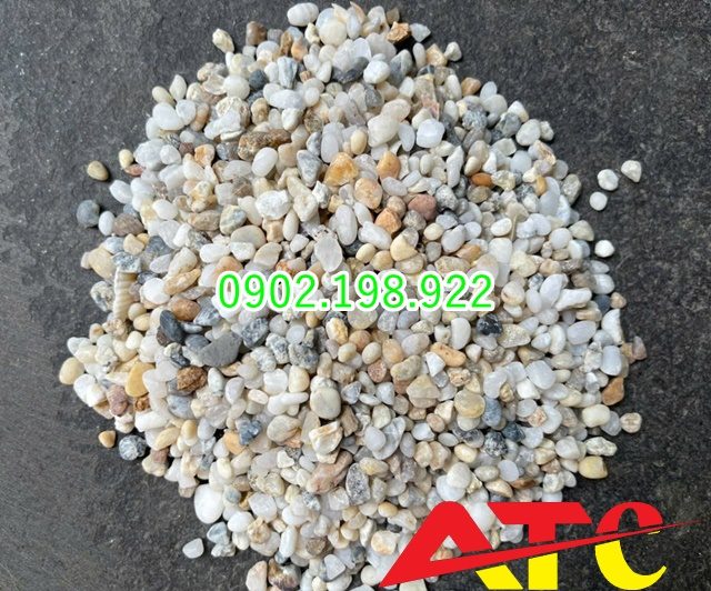 soi-bien-soi-ngu-sac-rai-trong-nha-co-hop-phong-thuy-khong