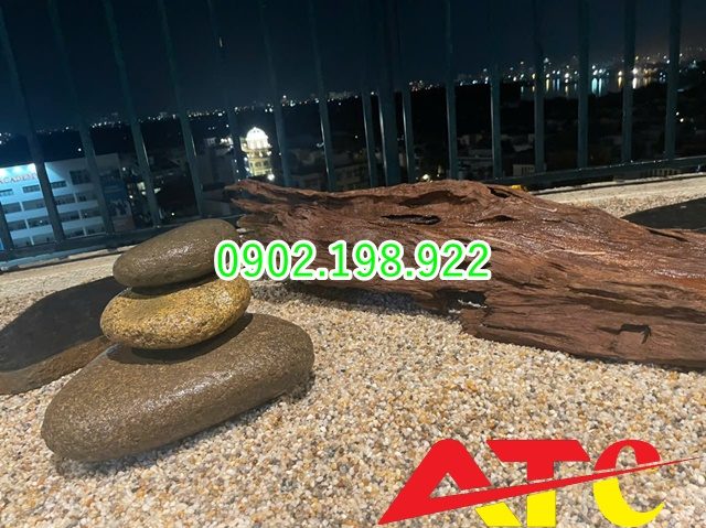 soi-bien-soi-ngu-sac-rai-trong-nha-co-hop-phong-thuy-khong