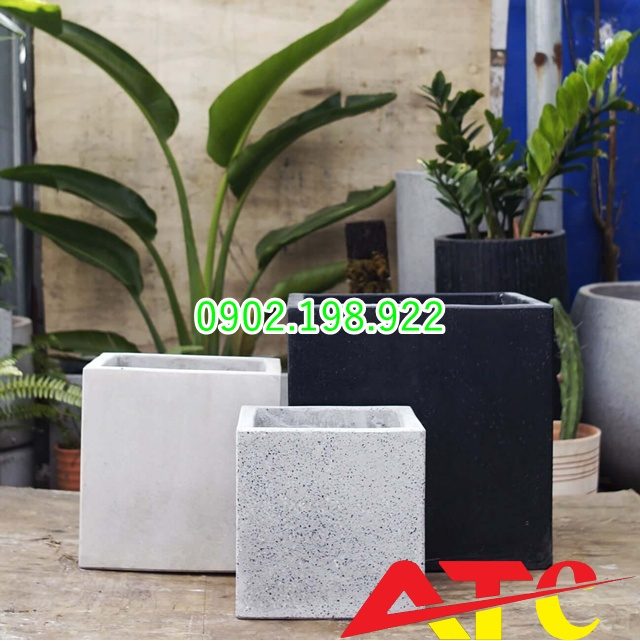 da-hat-cho-chau-xi-mang-mai-len-mau-dep-chuan-hat