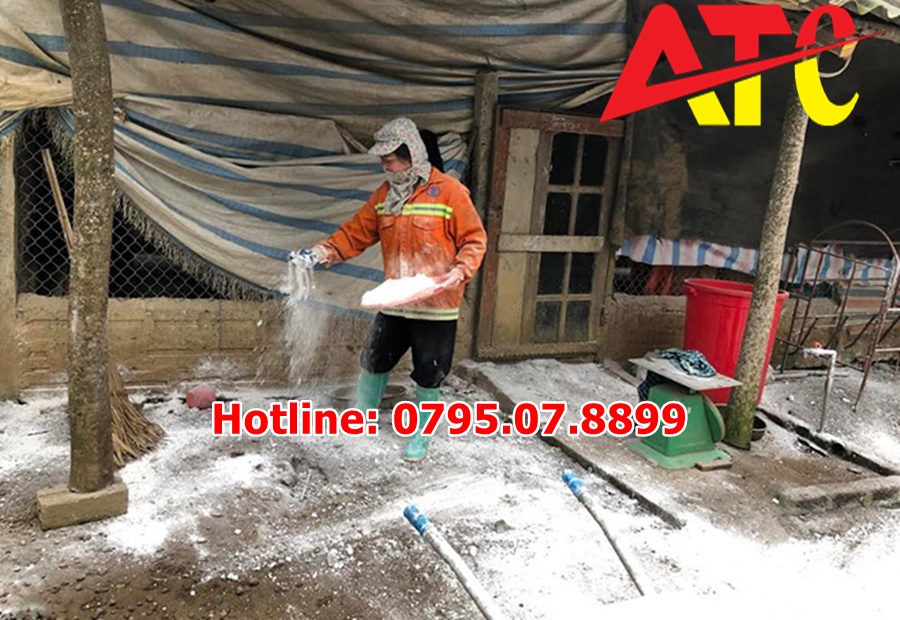 voi-bot-ngan-ngua-mam-benh