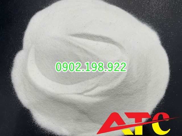 cat-trang-trang-tri-tet-giai-phap-lam-sang-san-vuon-bon-cay-loi-di-ngay-tet